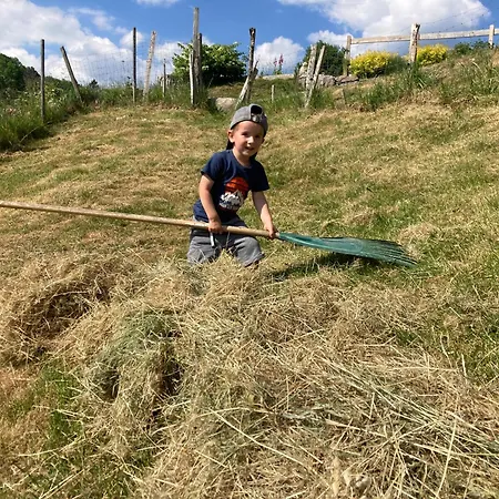 Oda ve Kahvaltı Chez Jeanmyvonne La Bresse