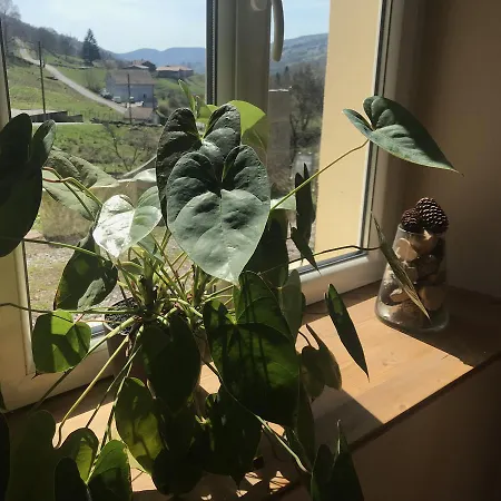 Chez Jeanmyvonne La Bresse