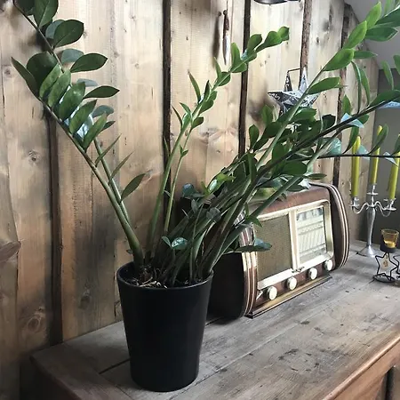 Couette-café Chez Jeanmyvonne