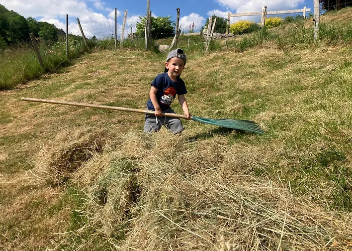 Bed & Breakfast Chez Jeanmyvonne La Bresse