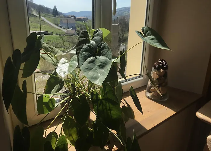 Chez Jeanmyvonne La Bresse