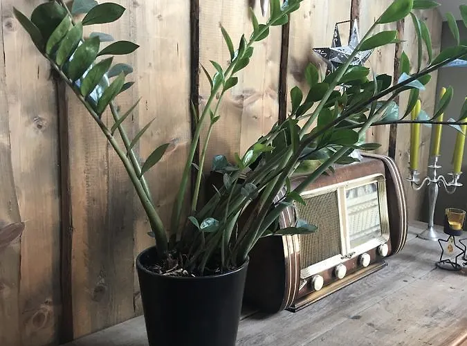 Bed & Breakfast Chez Jeanmyvonne